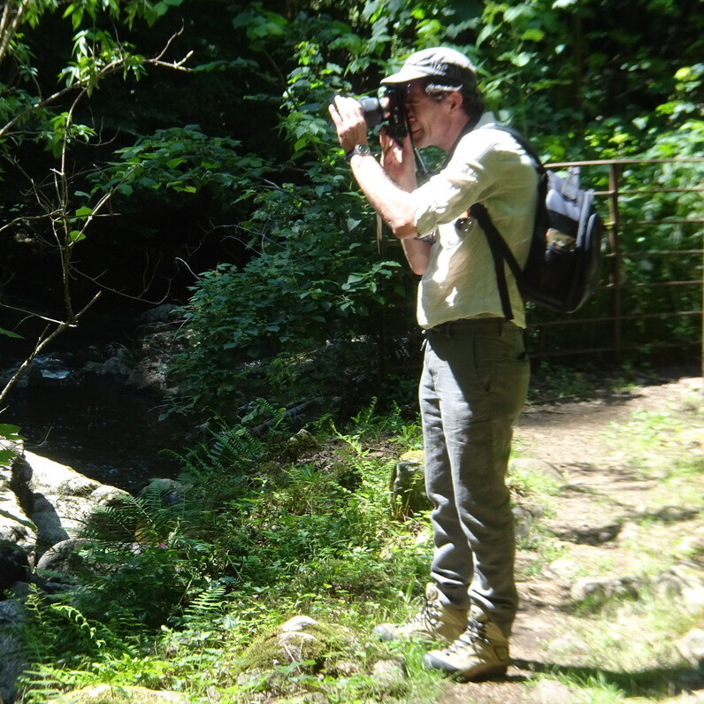 Frederic Hodiesne - L'artiste au travail