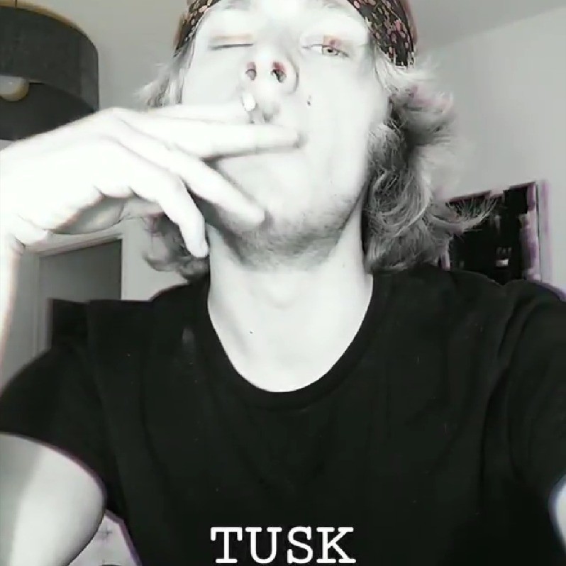 Tusk - L'artiste au travail