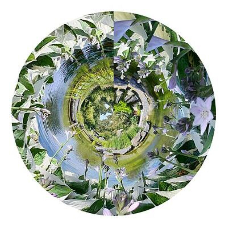 Pilato Adriana - L'artiste au travail