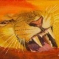 Jean-Marc Alric Image de profil