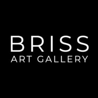 BRISS ART GALLERY Отображение главной страницы