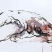 Claudine Ducaroir Image de profil