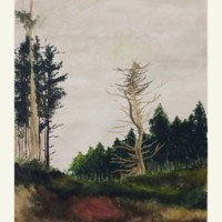 Ingela Rafiq Profile Picture