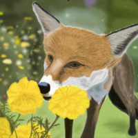 Withy Fox Profile Picture