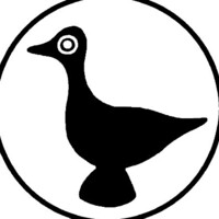 L'Oiseau Fou Image de profil