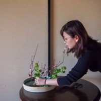 Mayu Arai Profile Picture