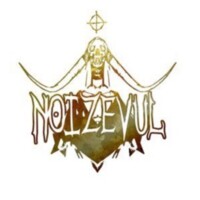 Noizevul プロフィールの写真