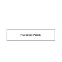 Pelliccioli Gallery Foto do perfil