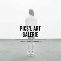 Pics'L Art Galerie Image de profil