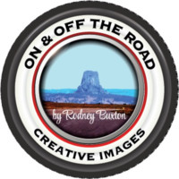 Rodney Buxton Profile Picture