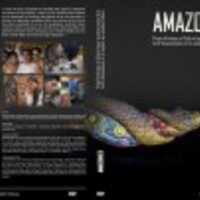 Collectif Amazonie Profile Picture