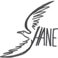 Association SHANË Imagen de bienvenida