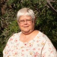Susan Van Wyk Profile Picture