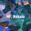 Mr. Nekalo Portrait