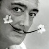 Salvador Dali Portrait