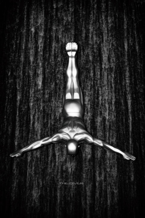 Photography titled "thediver.jpg" by Michael Schäfer, Original Artwork