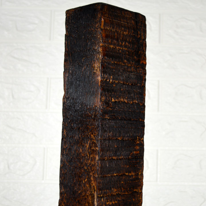 Sculptuur getiteld "Burn wood" door Vasil Krastanov, Origineel Kunstwerk, Hout