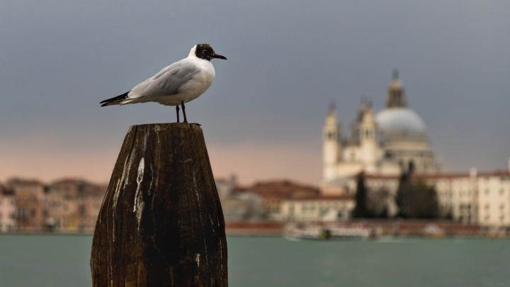 Fotografie getiteld "Venise.jpeg" door Eric Clement, Origineel Kunstwerk