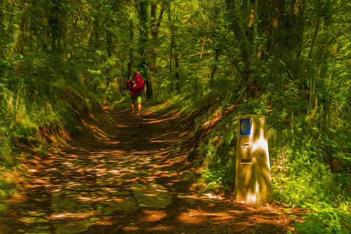 Fotografie getiteld "PEREGRINO CAMINANDO…" door Nacho Cuesta, Origineel Kunstwerk, Digitale fotografie