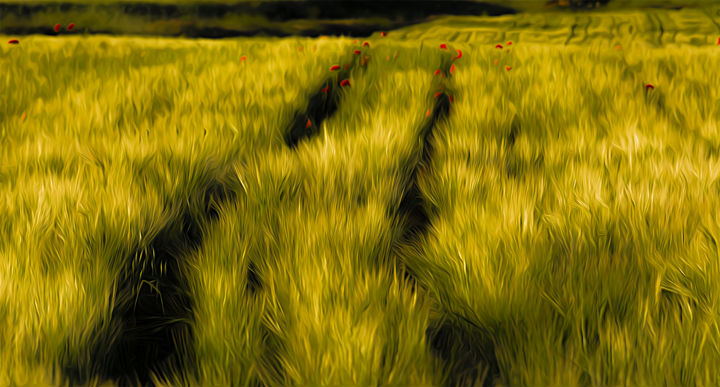 Fotografía titulada "AMAPOLAS ENTRE EL T…" por Nacho Cuesta, Obra de arte original, Fotografía digital