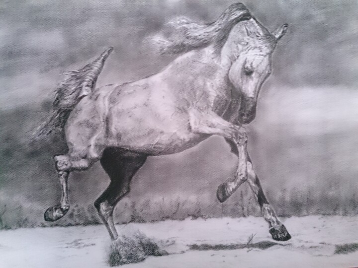 Рисунок под названием "Рысак" - Александр Хабло, Подлинное произведение искусства, Карандаш