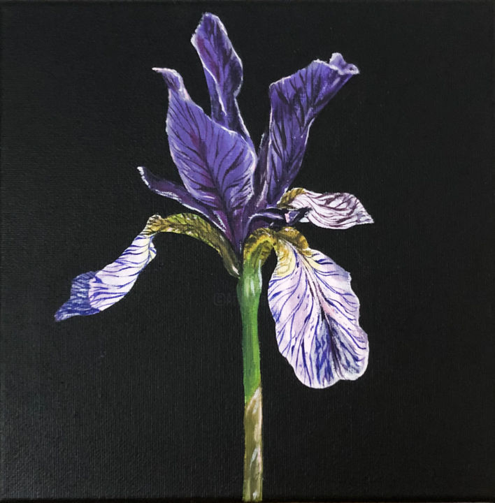 Pintura intitulada "Iris" por Avellutini, Obras de arte originais, Acrílico