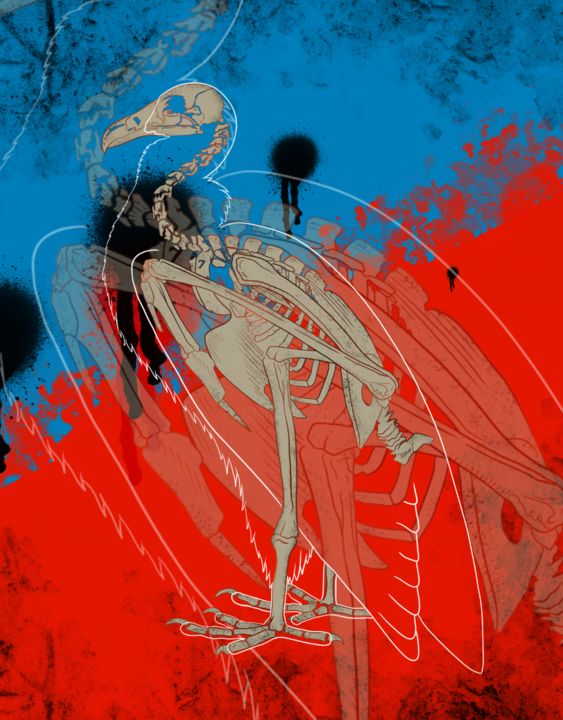 Цифровое искусство под названием "Skeleton bird" - Arslan Abdullaev, Подлинное произведение искусства, 2D Цифровая Работа
