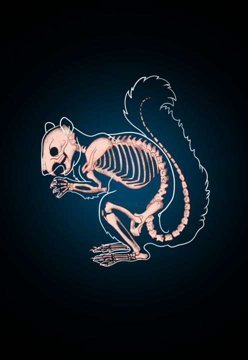 Цифровое искусство под названием "skeleton squirrel" - Arslan Abdullaev, Подлинное произведение искусства, 2D Цифровая Работа