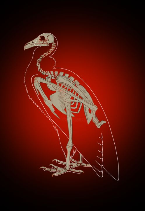 Цифровое искусство под названием "skeleton vulture" - Arslan Abdullaev, Подлинное произведение искусства, 2D Цифровая Работа