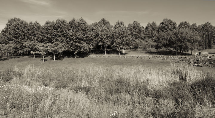 Fotografie mit dem Titel ""Tone and Texture I…" von António Amaralgomes, Original-Kunstwerk, Nicht bearbeitete Fotografie