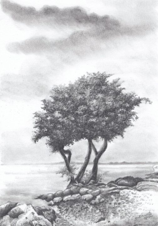 Drawing titled "Beach Tree" by Shweta Mahajan, Original Artwork, Charcoal