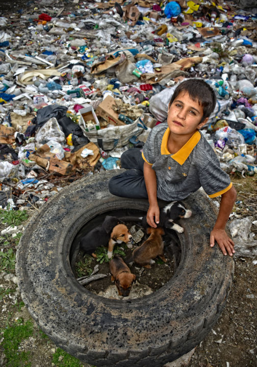 Photography titled "Puppies and boy" by Askin Ayrancioglu, Original Artwork, Digital Photography