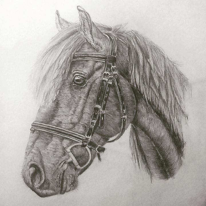 Drawing titled "img-20170531-105347…" by Abbie Wigg, Original Art, Graphite