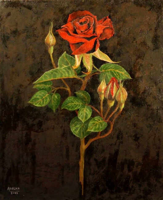 Peinture intitulée "La rose écarlate," par Abdellouahab Selka, Œuvre d'art originale, Huile