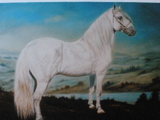 Pintura intitulada "CABALLO BLANCO" por Abdenago, Obras de arte originais