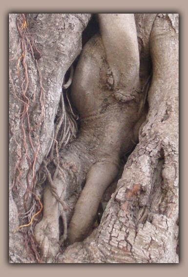 Photographie intitulée "l'arbre surrealiste…" par Abdenasser Rebati, Œuvre d'art originale