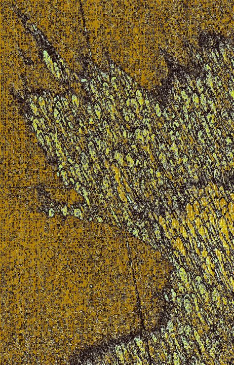 Digitale Künste mit dem Titel "Artwork Xtreme Flui…" von Viperblood, Original-Kunstwerk, Digitale Malerei