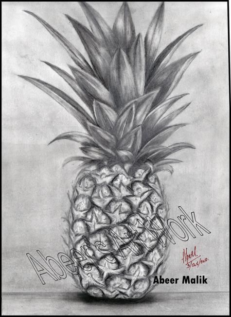 Drawing titled "pineapple sketch..." by Abeer Malik, Original Artwork, Other