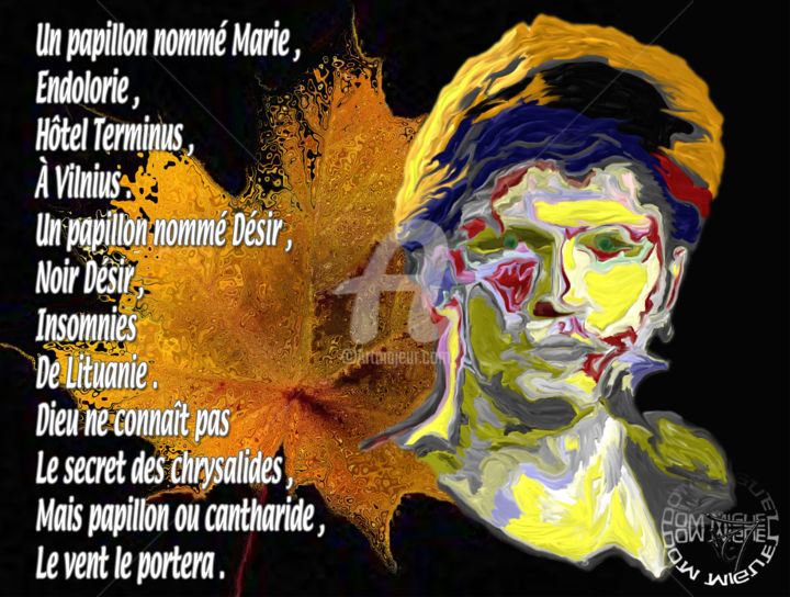 Digitale Kunst mit dem Titel "Noir Désir" von Abelard, Original-Kunstwerk, Digitale Malerei