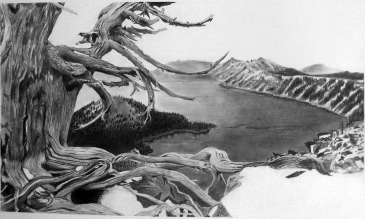 Dessin intitulée "Arctic" par Abhilash, Œuvre d'art originale, Graphite