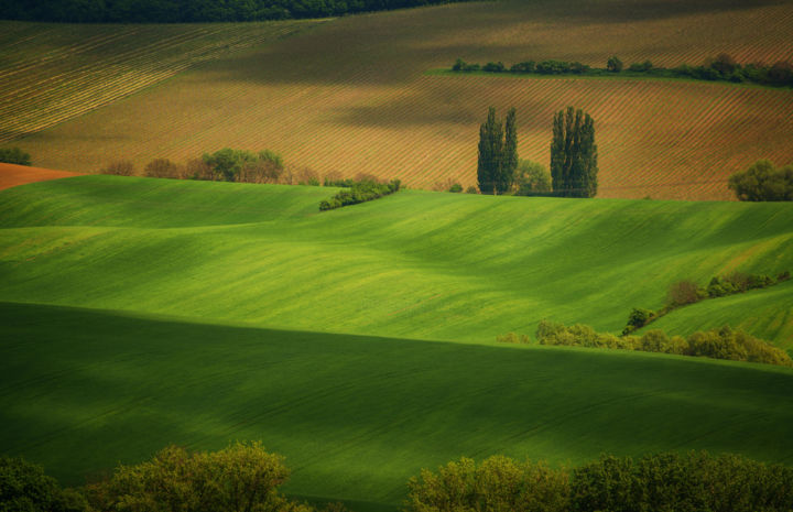 Fotografía titulada "FIELDS OF WAVES" por Absenth Photography, Obra de arte original