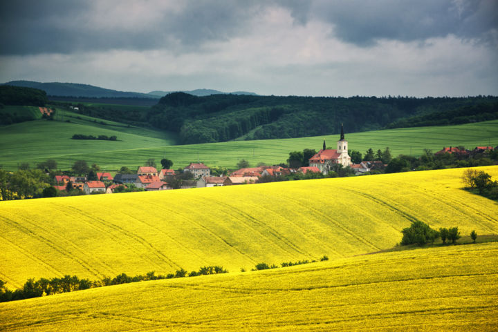 Photography titled "PASTORAL SPRING FIE…" by Absenth Photography, Original Art,