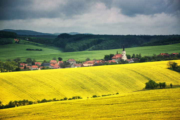 Photographie intitulée "PASTORAL SPRING FIE…" par Absenth Photography, Œuvre d'art originale