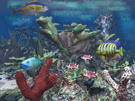 Digital Arts titled "At coral reef" by Andrew Volodutsky, Original Artwork, Digital Painting