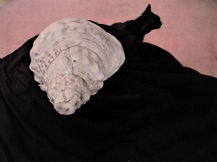 Fotografía titulada "Instant rose et noir" por Ariane Canta-Brejnik, Obra de arte original, Fotografía digital