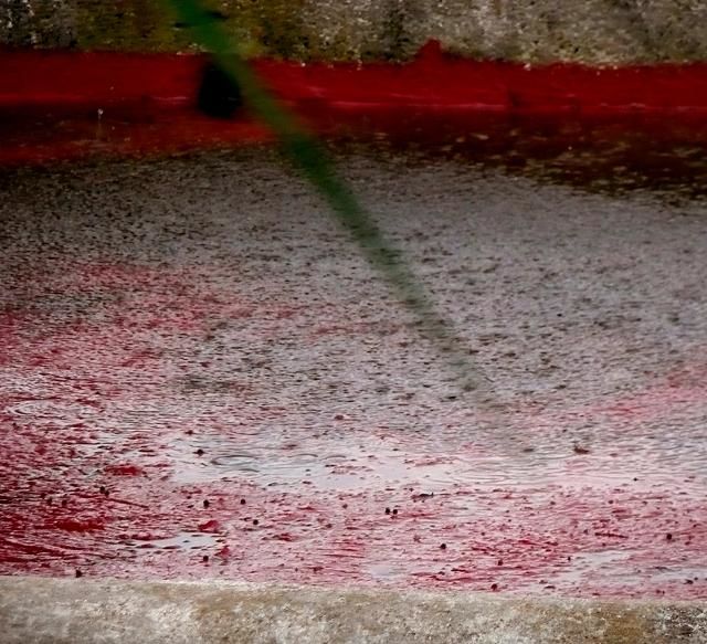 Fotografia intitulada "Pluie rouge 2" por Ariane Canta-Brejnik, Obras de arte originais