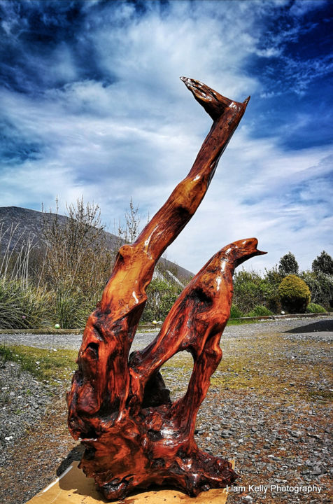 Scultura intitolato "Abstract (Eagle)" da Achill Bogwood Sculptures Liam Kelly, Opera d'arte originale, Legno