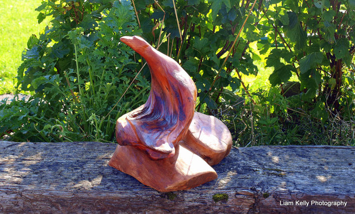 Escultura intitulada "Duck" por Achill Bogwood Sculptures Liam Kelly, Obras de arte originais, Madeira