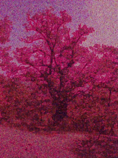 Arte digitale intitolato "a tree in my mind" da Acquilon, Opera d'arte originale, Pittura digitale