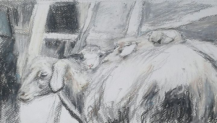 Drawing titled "ovce.jpg" by Adam Pavlović, Original Art, Pencil